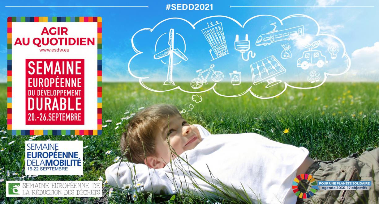 SEDD 2021